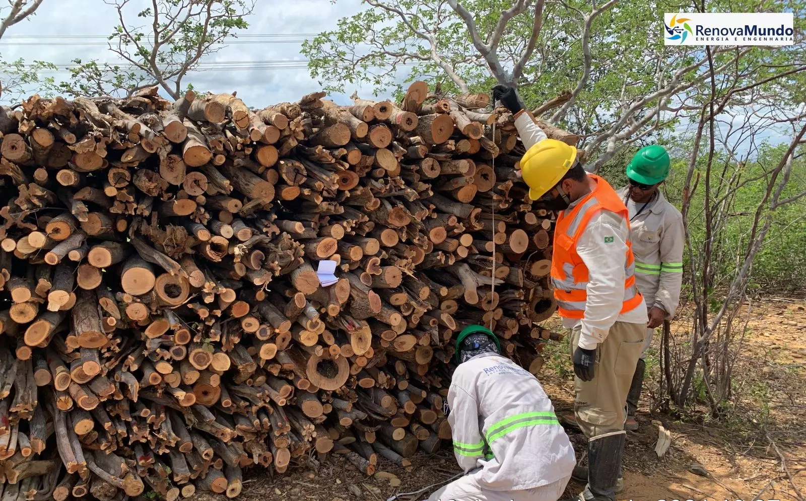 UFV GRAVIOLA - PI - 360MW - CUBAGEM DE MATERIAL LENHOSO